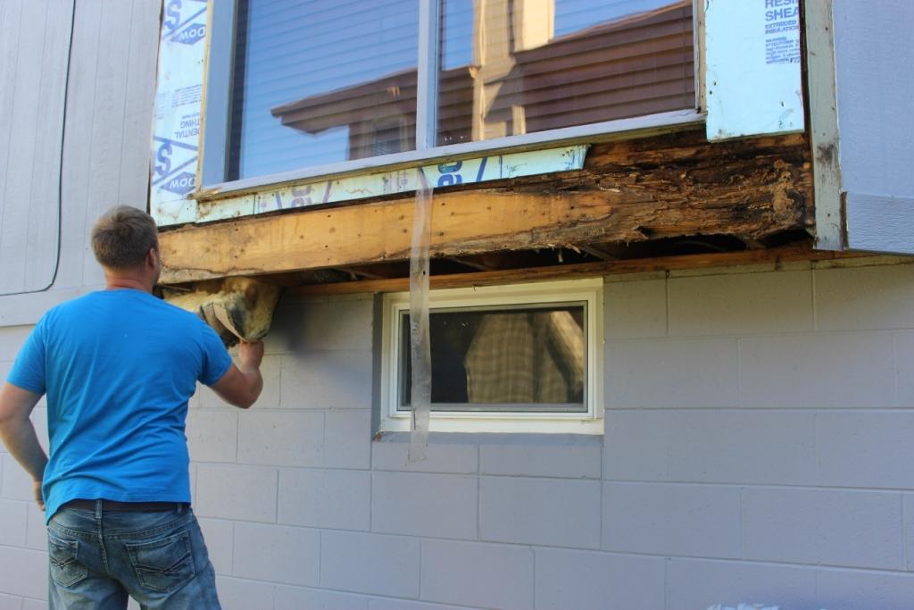 Even a Small Leak or Hole in the Siding can Destroy everything Behind it Rotted Window Frame & House Framing